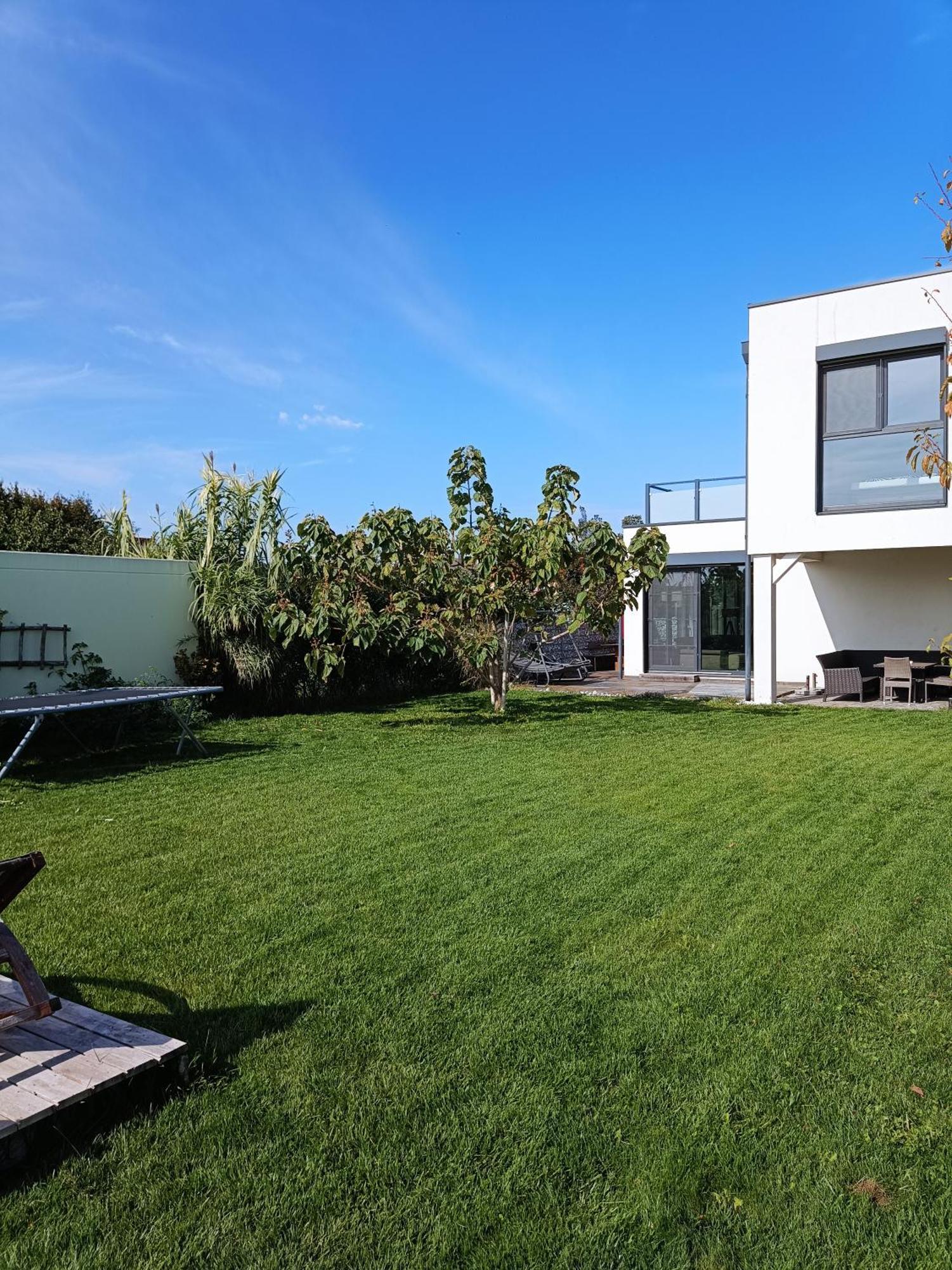 Das Haus In Jois Extérieur photo